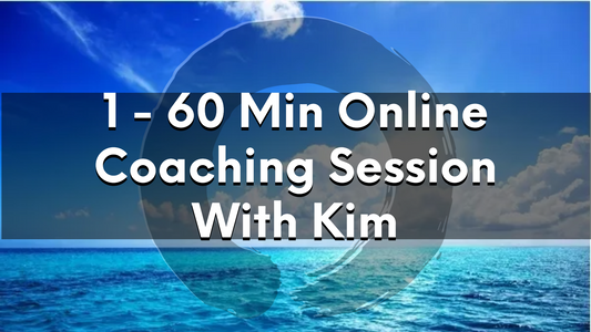 1 60 Min Online Coaching Session With Kim