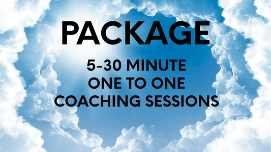 Package 5-30 Min Online SP Coaching Session With Kim